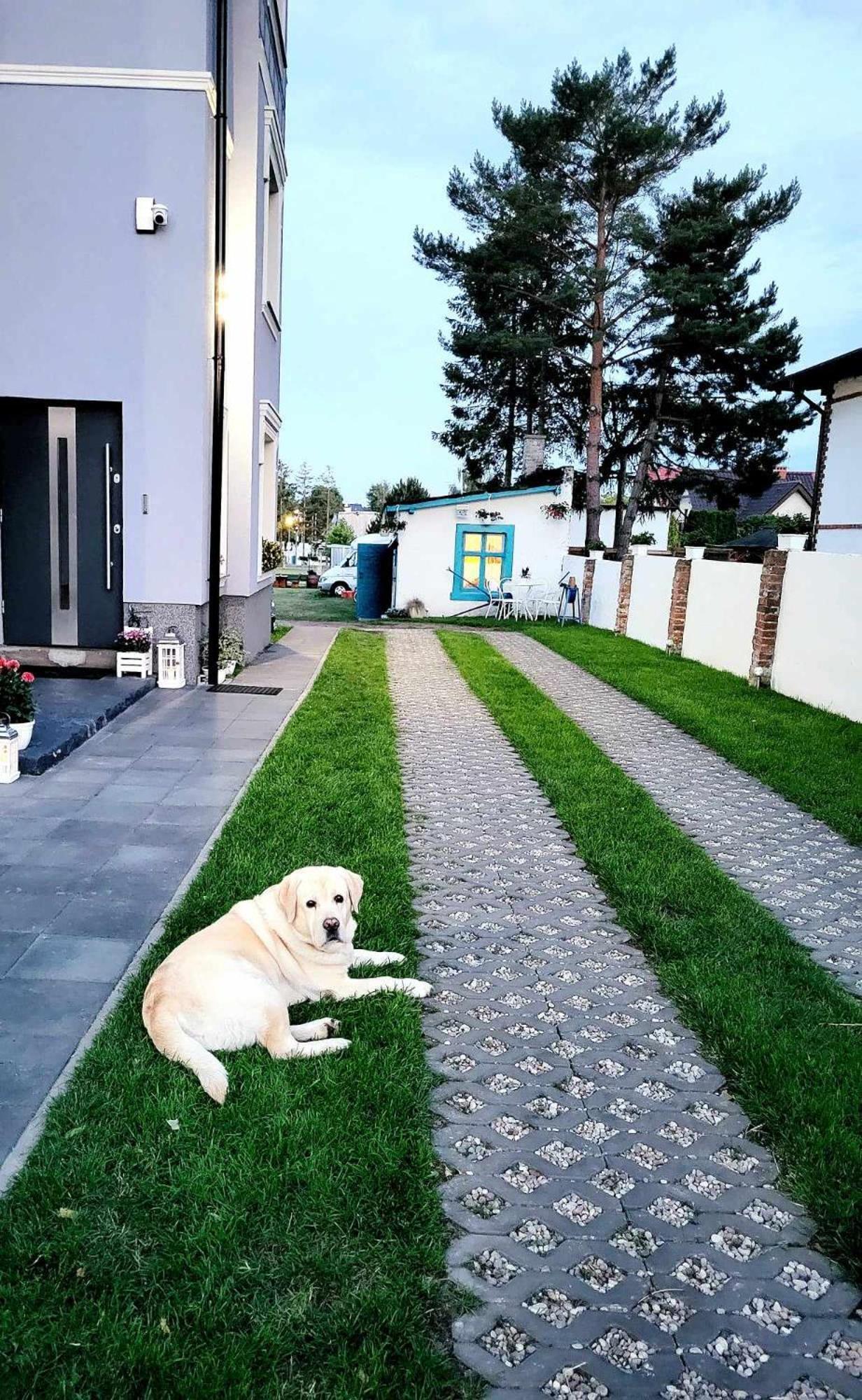 Villa Blue Mare Ustronie Morskie Buitenkant foto